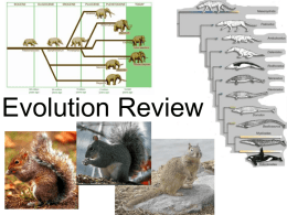 Ch 15 & 16 Evolution Review