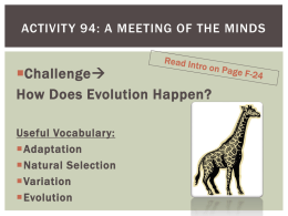 Activity 94: A Meeting of the Minds