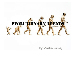 Evolutionary trends - Life is a journey: Mr. T finding his way