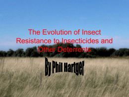 The Evolution of Insect Resistance to Insecticides and