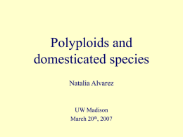 Polyploids and domesticates - Botany Department