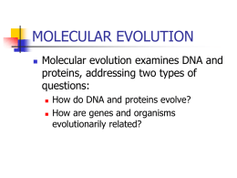MOLECULAR EVOLUTION