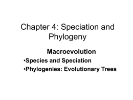 Chapter 4: Speciation and Phylogeny