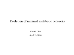 Evolution of minimal metabolic networks
