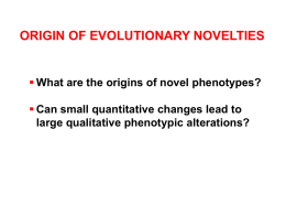 Lecture 20 Origin of Novelties
