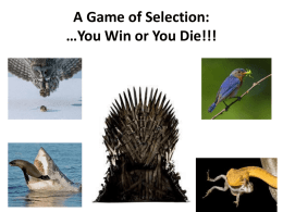 A game of selection powerpoint