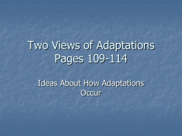 Two Views of Adaptation