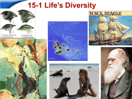 15-1 Puzzle of Lifes Diversity