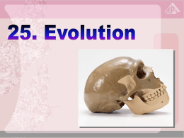 25.2 Evidences for evolution