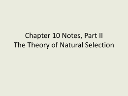 Chapter 10 Notes Part II