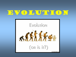 evolution - Laurel County Schools