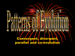 Ch. 14 Patterns of evolution