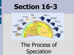 Section 16-3 - sandsbiochem