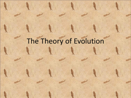 Evidence Supporting The Theory of Evolution