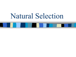 Natural Selection - Biology Junction