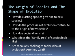 Chapter Five: The Origin of Species and The Shape of Evolution