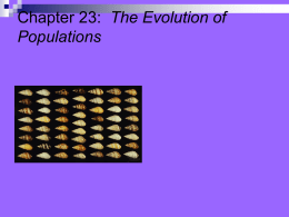 Ch. 23 The Evolution of Populations. Rauch 2007-2008