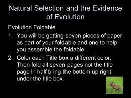 Natural Selection and the Evidence of Evolution