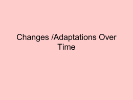 Adaptations Over Time