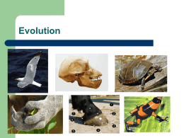 Evolution PowerPoint Presentation updated