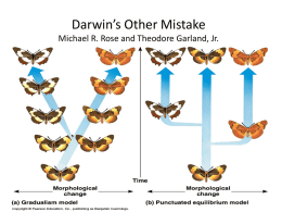 Darwin`s Other Mistake