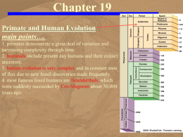 Chapter 19 - Primate and Human