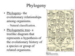 Systematics: The Science of Biological Diversity II