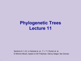 Class 9: Phylogenetic Trees