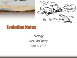 Evolution Notes - McCarthy`s Cool Science