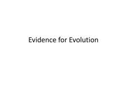Evidence for Evolution Power Point