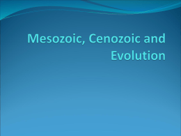 Mesozoic, Cenozoic and Evolution