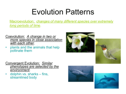 Evolution Notes