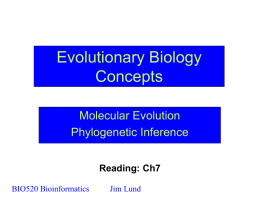 Evolution - Nematode bioinformatics. Analysis tools and data