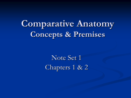 Comparative Anatomy Concepts & Premises