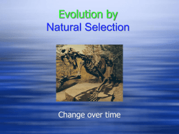 Evolution_ppt