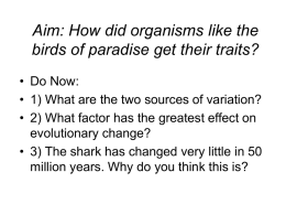 Aim: How did organisms like the birds of paradise get their traits?
