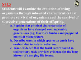 Clues About Evolution