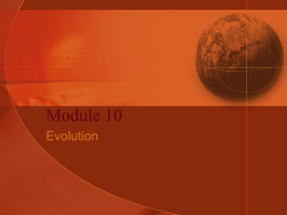 Evolution Review Powerpoint