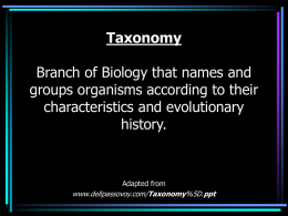 Taxonomy.domenico