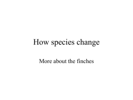 How species change