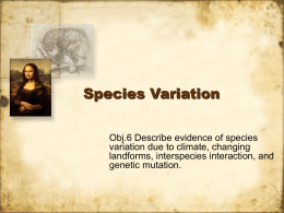 Species Variation
