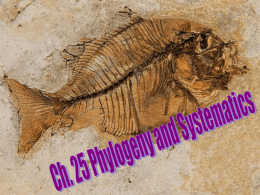 Phylogeny and Systematic - Effingham County Schools