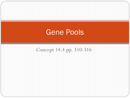 Biology CP 14.4 Gene Pools