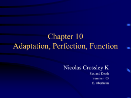 Chapter 10 Adaptation, Perfection, Function