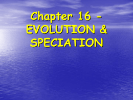 Evolution and Speciation powerpoint