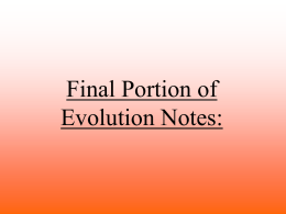 Final Portion of Evolution Notes
