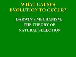 Natural Selection PPT