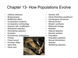 Chapter 13- How Populations Evolve