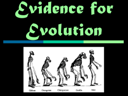 2/19/13 Evidence for Evolution