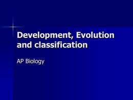 Evolution and classification
